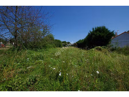 terrain montrevault sur evre d'environ1239 m2