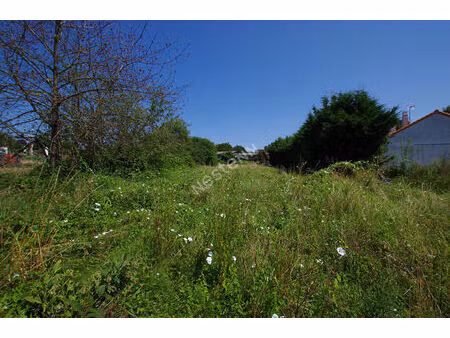 terrain à batir à vendre à saint quentin en mauges
