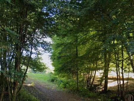 vente terrain à villac (24120) : à vendre / 52962m² villac