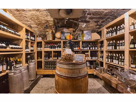 vente maison 12 pièces 405 m² à baume-les-dames (25110)  490 000 €