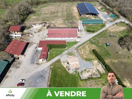 maison 10 pièces - 5549 m²