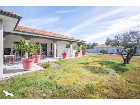 vente maison 6 pièces 162 m² à saint-vincent-de-paul (40990)  429 000 €