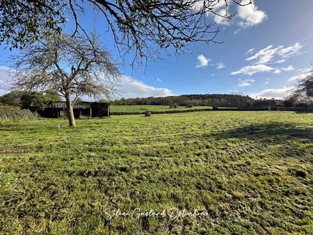 vente terrain 1443 m² rieux (56350)