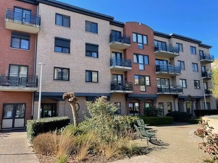 appartement à vendre à zutendaal € 259.000 (lm56l) - immo dufour | zimmo