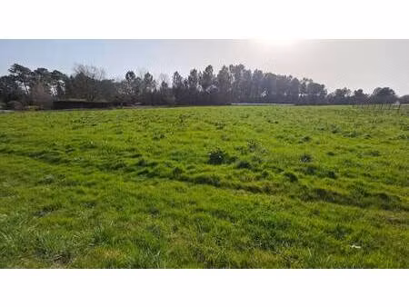 terrain constructible à vendre