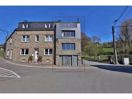 sougné-remouchamps - à louer - maison 1 chambre