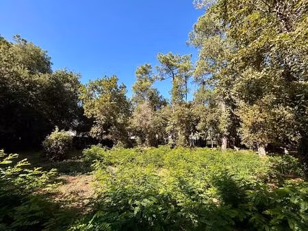 terrain constructible viabilisé à vendre