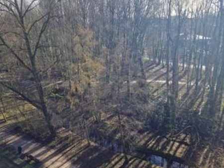 appartement 2 ch. à watermael-boitsfort  vue bois