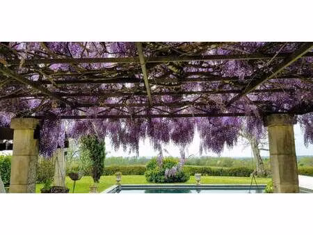 propriétaire particulier