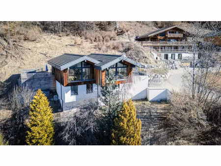 chalet d'exception contemporain - ensoleillement optimal