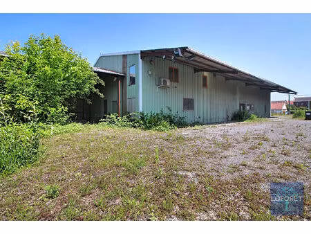 vente commerce 1500 m² aniche (59580)