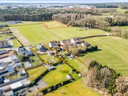 maison à vendre à opglabbeek € 539.000 (lm8zs) - horse immo | zimmo