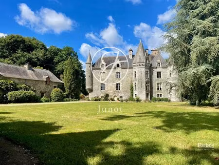 vannes - morbihan - élégante architecture pour ce château xvie de 17 pièces à vendre.