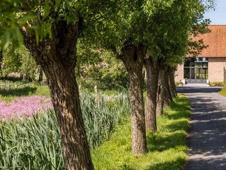 maison à vendre à rumbeke € 1.450.000 (lm9dt) - office kortrijk | zimmo