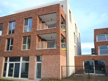 appartement à louer à zoersel € 1.275 (lm94n) | zimmo