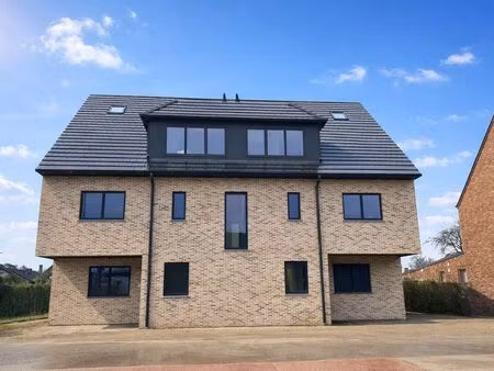 appartement à louer à zonhoven € 1.375 (lm8ef) | zimmo