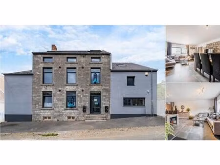 immeuble mixte à vendre à rue de l'horloge 180 senzeille (vbd99874)