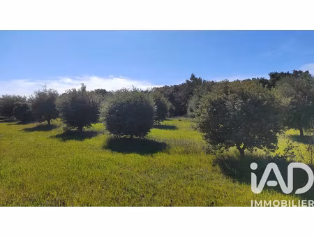 terrain à travaillan (84850)