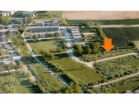 terrain à bâtir à bilzen - bivelenhof : lot 103