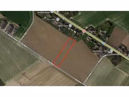 cpas - terrain agricole à oreye (lens sur geer)