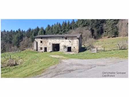 grange à vendre chabreloche (63)