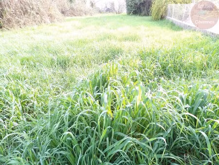 terrain constructible