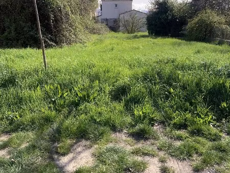 terrain constructible