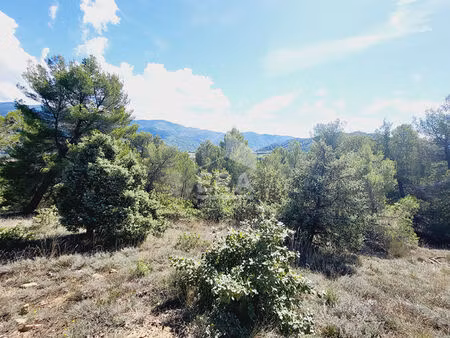 parcelle boisée non constructible - château-arnoux-saint-auban