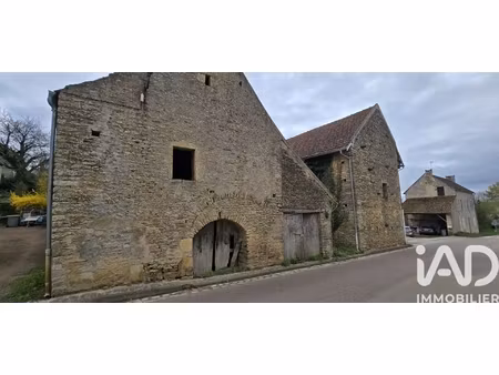 vente immeuble 300 m²