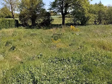 vente terrain à batir 902 m² à la chapelle-bertrand (79200)  26 500 €
