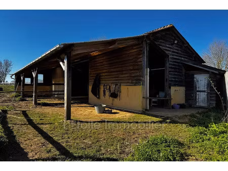 vente terrain à la chapelle-montligeon (61400)  28 000 €