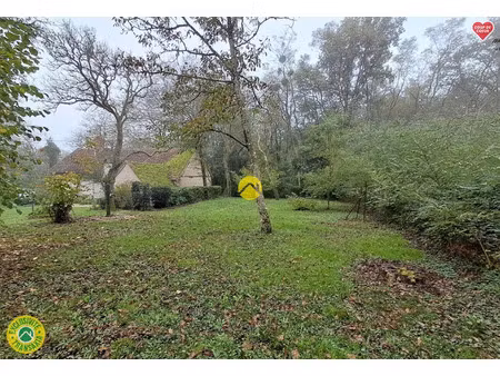vente terrain 7000 m² à ecueillé (36240)  38 000 €