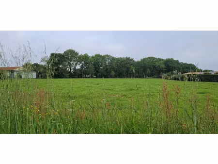vente terrain 1615 m² à samadet (40320)  39 000 €