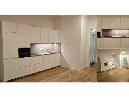 appartement à louer avec 1 chambre   anvers (rbv49482)