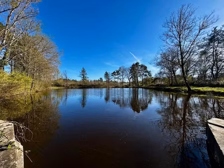 vente terrain à langon-sur-cher (41320)  54 990 €