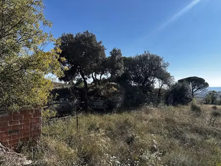 vente terrain 1240 m² à moussoulens (11170)  50 000 €