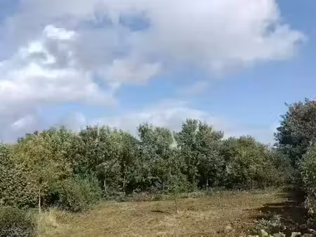 vente terrain à batir 817 m² à landrethun-lès-ardres (62610)  63 000 €