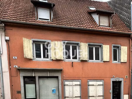 ideal investisseur ! immeuble de rapport à villé