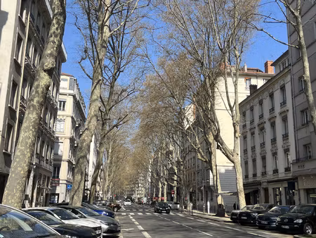 appartement t4 115 m2 - coeur lyon 6ème