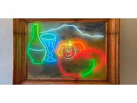 maison avec piscine et terrasse saint-rémy-de-provence (13)