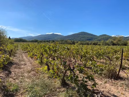 vente terrain 700 m² à le castellet (83330)  230 000 €