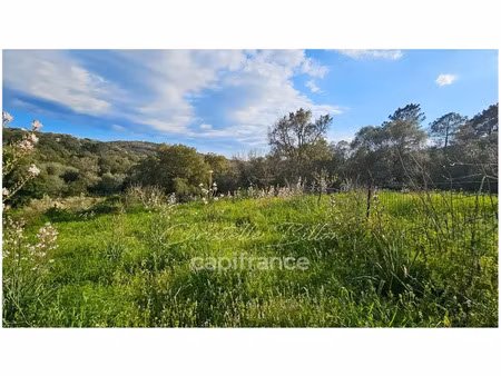 vente terrain 1200 m² à lecci (20137)  300 000 €