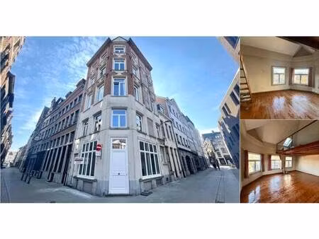 appartement à louer à zwartzustersstraat 2 anvers (rbv49517)