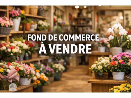 vente locaux professionnels 100 m² à cabestany (66330)  232 680 €