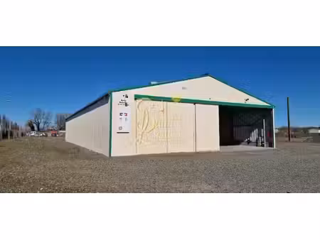 vente locaux professionnels 0 pièces 1295 m² à richelieu (37120)  365 750 €