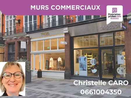 vente locaux professionnels 350 m² à ombrée d'anjou (49420)  482 000 €