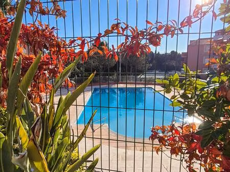 joli t2 bis en rez de jardin