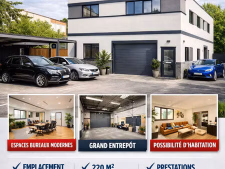 local d'activité saint maur des fosses 12 pièces 254 m2