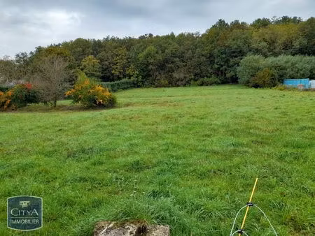 terrain