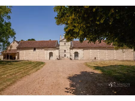 château d'exception en touraine  entre prestige et potentiel